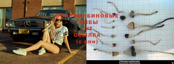 скорость mdpv Баксан
