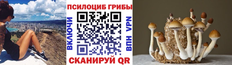 Галлюциногенные грибы Cubensis  Белоярский 